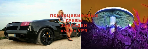бошки Абинск