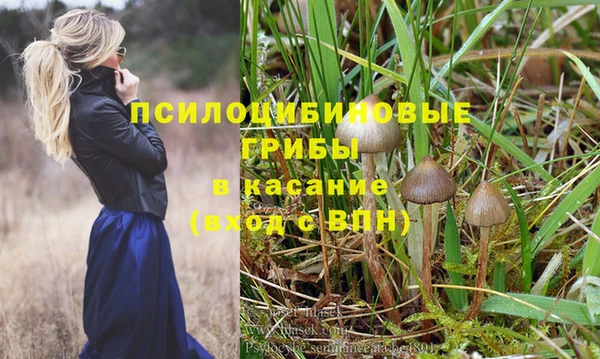 бошки Абинск