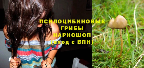 бошки Абинск