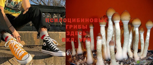 кокс Абдулино
