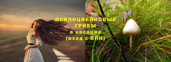 марихуана Абаза