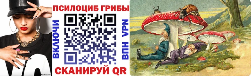 хочу   Тимашёвск  Галлюциногенные грибы Psilocybe 